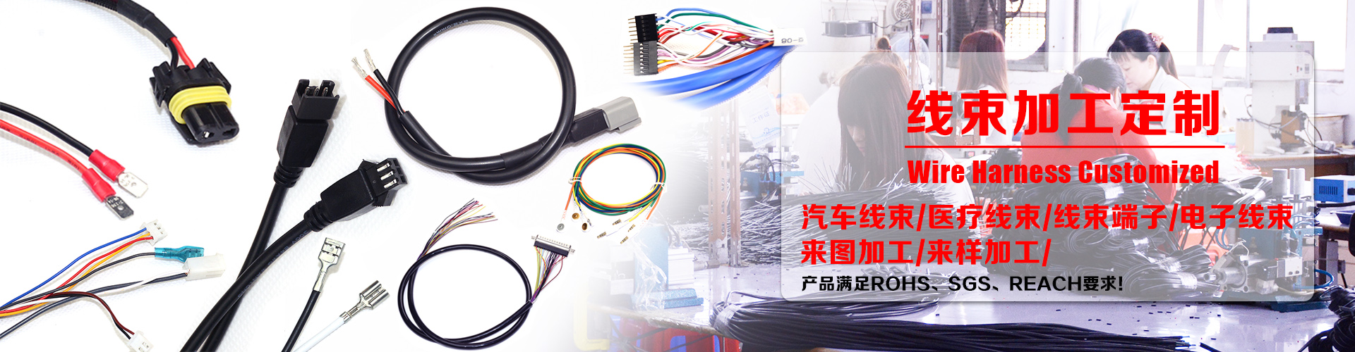 wire harness