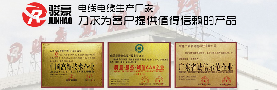 1-1P411113K0431 j9国际站备用电线荣誉证书展示