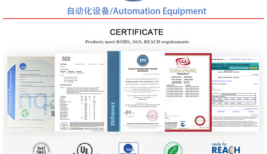 1-1Z31410095c43 certification