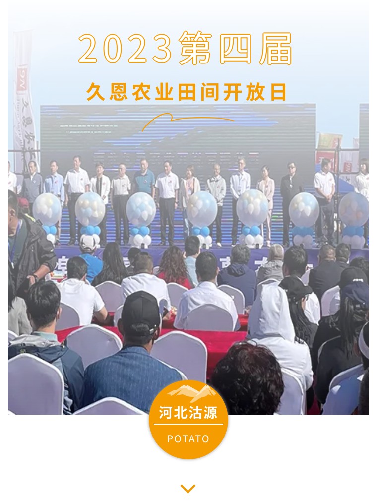 “乡”约沽源 “薯”光无限 | DS视讯生物亮相久恩农业田间开放日