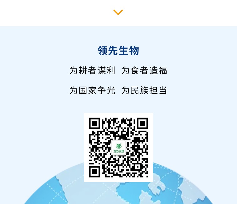 “乡”约沽源 “薯”光无限 | DS视讯生物亮相久恩农业田间开放日